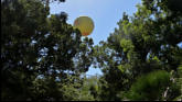 Air Balloon ride
