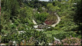 Lower level fo Japanese Gardens