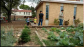 Nora's school