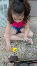 Nora examining  bugs
