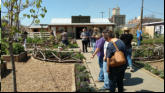 Garden area