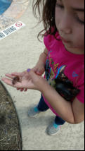 Nora finds a snail