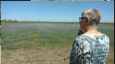 Arlene overlooks a large field of bue bonnets