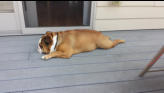 Oscar