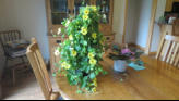 Arlene's mothers day gift