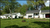 Our new Linden tree planted 5/12/2107