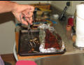 The Ribs