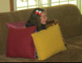 Nora in her house.