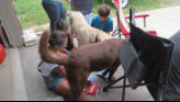 Ranger and Cooper get in on the activies