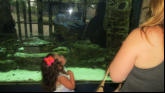 Nora loves the fish.