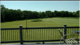 Greta and Bob's back yard.