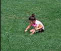 Nora picking weeds