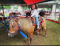 Nora takes a pony ride.