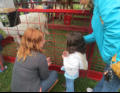 A visit to the petting zoo.