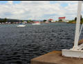 The Bay