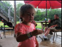Still fascinated by the inch worm.