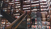 One of many levels of the Harry Potter library.