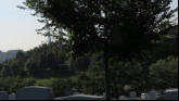 Air Force Monuument behind trees