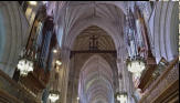 The Organ Pipes