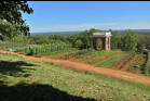 The Gardens