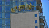 Trees planted on top of building