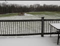The back yard.