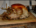The Bird