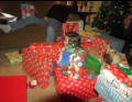 Nora Builds A Fort With Her Packages