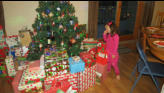 Nora and the Christmas Tree