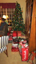 The tree