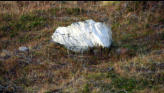 No significance. Just a rock.