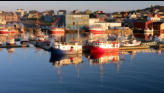 Fishing boats