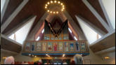 The organ