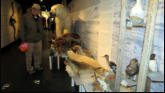 Polar museum