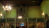 The organ
