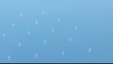 Windmills in Ocean