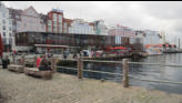 The fish market