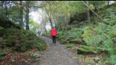Walk back to bus