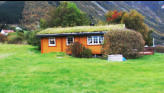 Grass roof