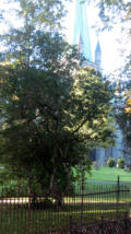 The cathedral