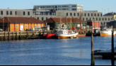 Harbor by fish market