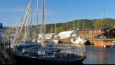 Fishing boats