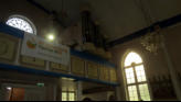 The organ