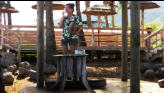 Another Coconut Demonstration