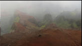 Canyon Shots