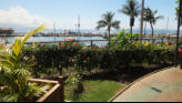 A view From Our Lunch Table