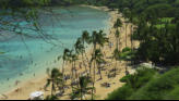 Waikiki Beach