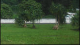 Views Along The Way To The Center