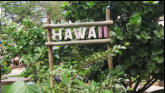 On To Hawaii